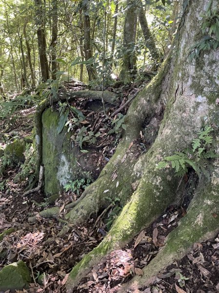 加里山隘勇線2913119