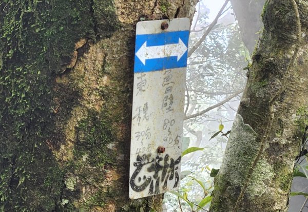 【中級山縱走】魯壁山，東穗山，大島田山，宇老觀景台2771643