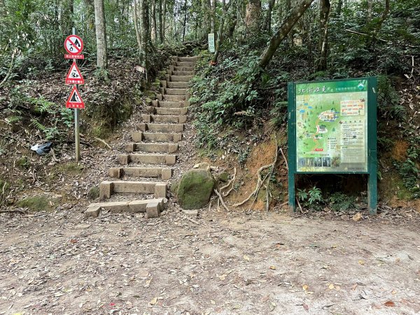 林相優美-內鳥嘴山111.03.161645260