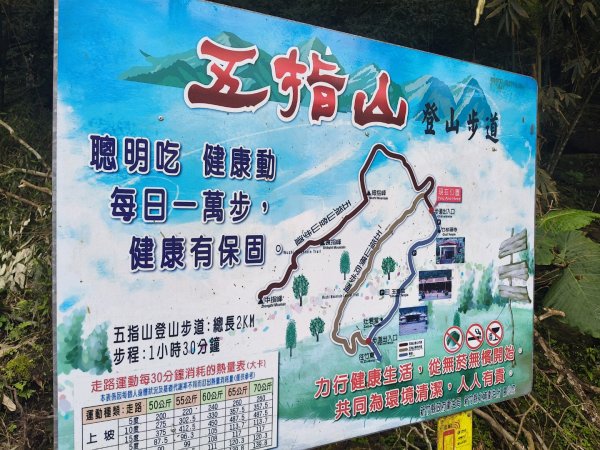 五指山走春3009581