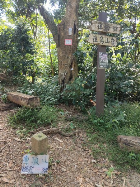 山海圳【大圳之路：第二段鳥山嶺水我古道 ⮕東3124358