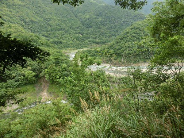 拉拉山神木群．巴陵古道620904