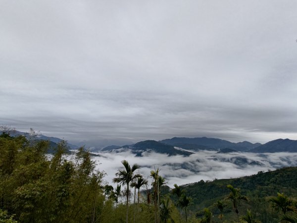 雲嘉大尖山2701275