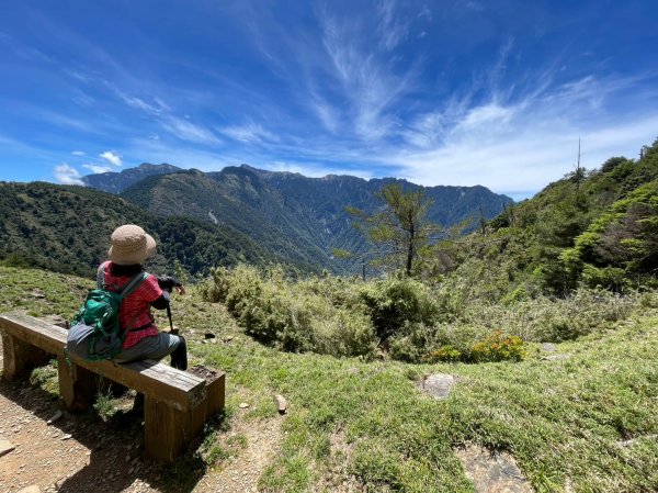 230622-縱走塔塔加三山（麟趾山、鹿林山、鹿林前山O繞）慶端午，美美兔凌晨3:30出門，挑戰中級2195637