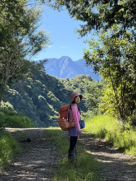 大雪山林道-屋我尾山O繞 202506152816288