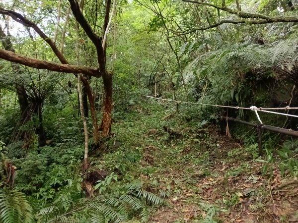 平溪區三功大厝+番子坑山+千階嶺步道O型2781103