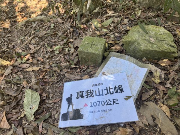 南真我山 & 真我山 & 真我山北峰 & 五公山 (20260215)3000607