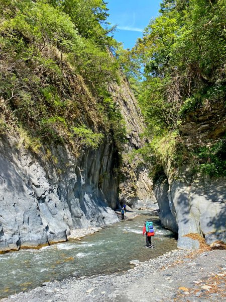 能安縱走--與高山湖泊、水鹿大軍相遇-2955677