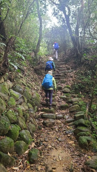 2025-01232淡蘭古道北二段(燦光寮古道到澳底)2696642