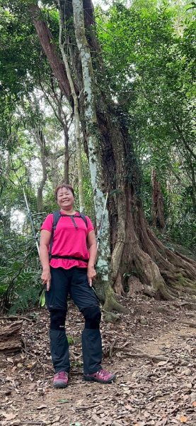 馬那邦山（珠湖登山口）2933984