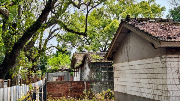 【台灣健行】霧峰．光復：日光滲透的紅磚記憶。3034091