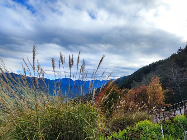 1/1元旦雪主東2681434