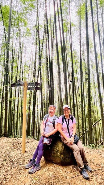 🌈17（日）雲嶺之丘+五元二角+木馬古道✨FB：熊熊趴爬走🌈2861683