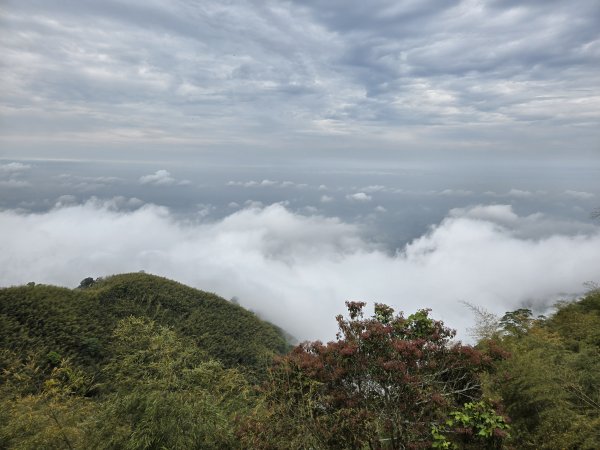 雲嘉大尖山2871284