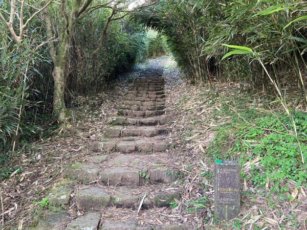 20230622 陽明山 二子坪步道 -> 大屯山主峰連峰步道2387649