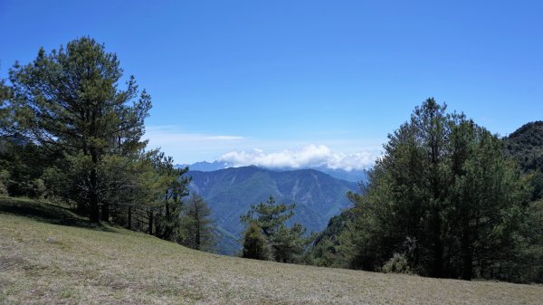 麟趾山。鹿林山1041875