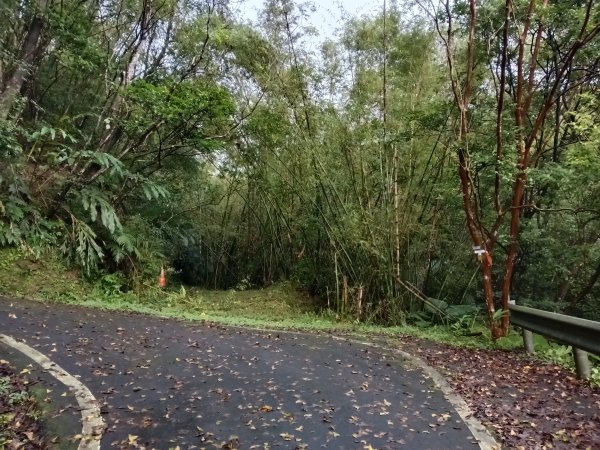 雙溪區后番子坑古道+后番子坑山+平湖東步道+大坑山+下內平林山+上內平林步道出平水2972934