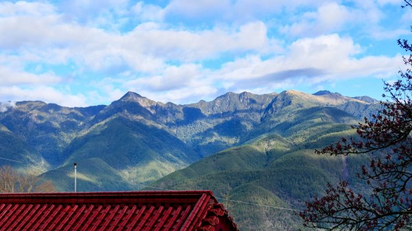 《踏莎行・武陵山櫻》2712448