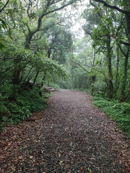 臺北大縱走第一段：關渡至二子坪2790244