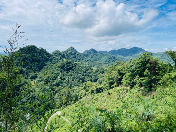 1140618鳴鳳古道｜錫隘-雲洞宮2815376