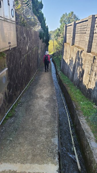 2025-0130溪和宮-大崎頭步道-鵝尾山-平溪步道-鵝尾山水田-42巷-溪山百年古圳-平菁步道2701938