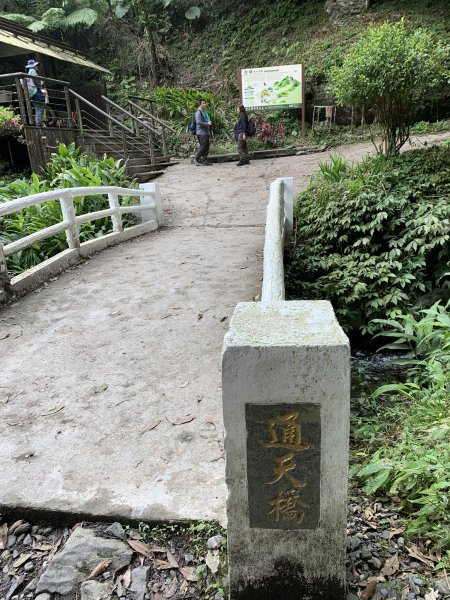 抹茶山（三角崙山）（宜蘭縣礁溪鄉）2517989