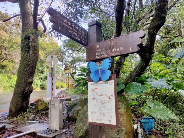 橫嶺古道 湖山國小步道1194198