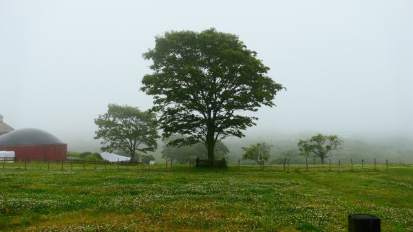 南九州－櫻島有村溶岩,桷志田,高千穗牧場,霧島神宮3063842