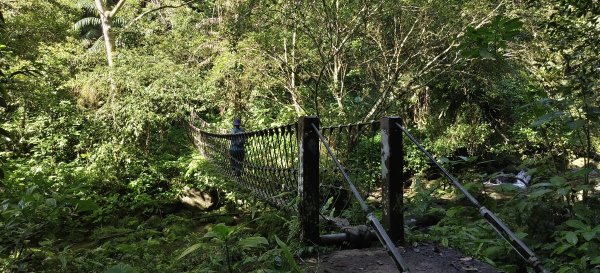 2025/06/28_馬胎+南坪古道2823746