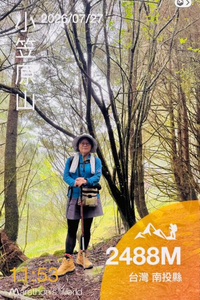 阿里山小笠原祝山森林遊3091736