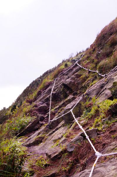 九份無耳茶壺半屏山喝個茶230879