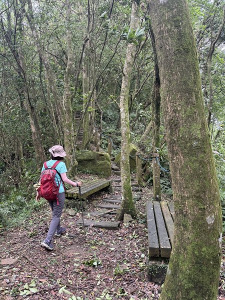 獅仔頭山 2025.07.202864265