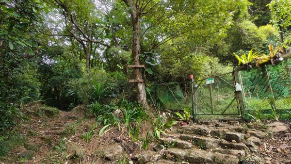 燕溪古道-大崙尾山西峰-仙座台山-圓明寺步道2926530