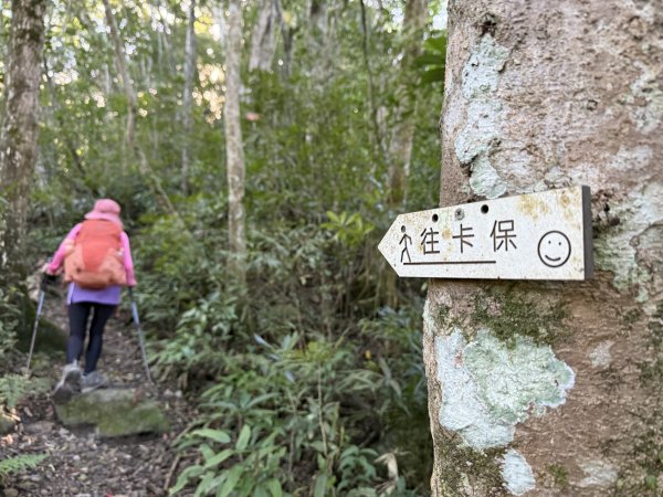 山毛櫸掉光光的 卡保逐鹿O繞 202511152937450