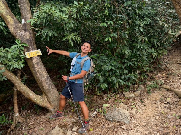 力里山【以產業道路為中央伍 散開】3000034