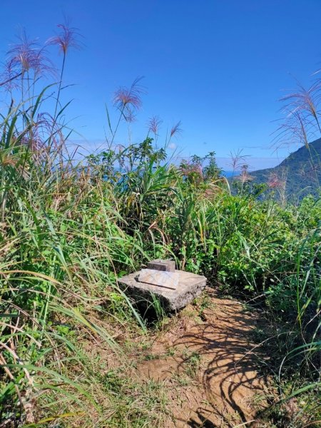 ［瑞芳四秀］ （龍潭山,瑞芳山，秀崎山，白象山）  （2023/11/5）2342436