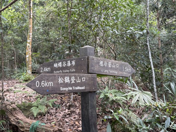 唐麻丹+蝴蝶谷O繞2887852