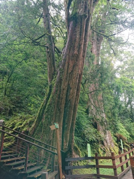 福巴越嶺古道上拉拉山（達觀山）1748344