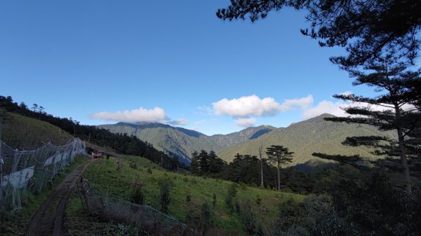 武法奈尾山1946746