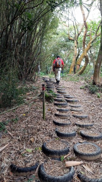 龜山五連星+大棟山O型2785147