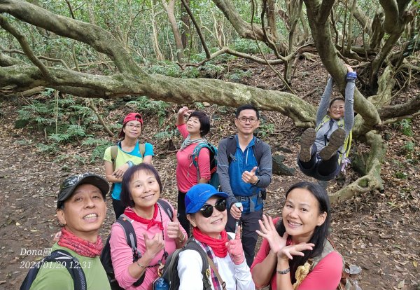 東勢大崙、東勢坑山、觀音湖山O走2986235