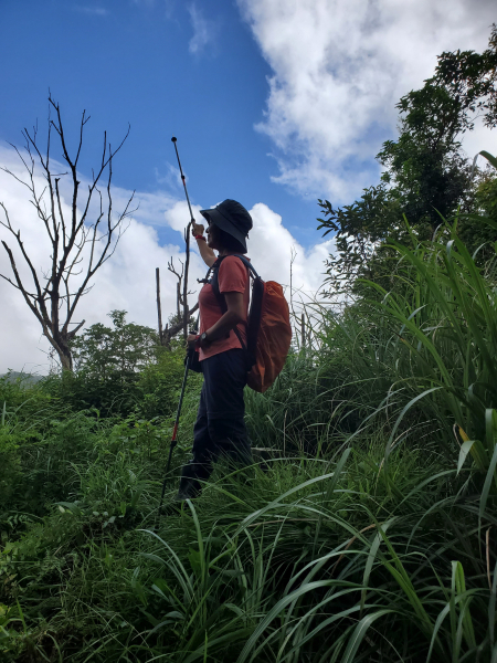 下七股山原路來回