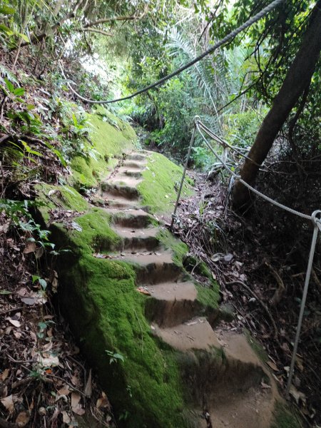 微笑山線：【鳶山山系】鳶山彩壁段2855444