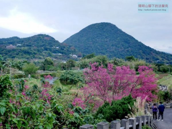 【台北市】東昇步道(十八挖水圳步道)-風尾步道 賞櫻