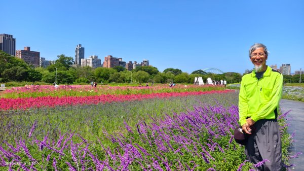 首訪 #古亭河濱公園 #花海 3/153015671