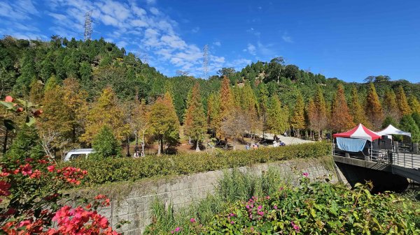 20251222龍峎頂步道-三灣火炎山-老銃櫃步道-三灣落羽松-肚兜角步道2969144