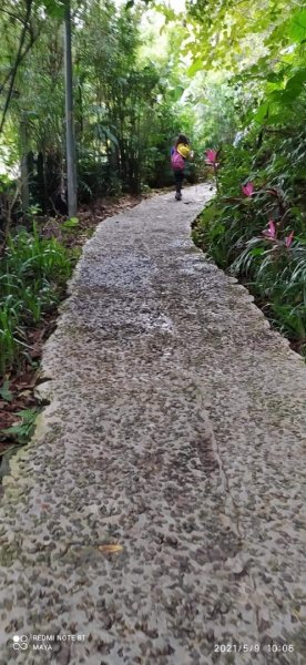 天上山（小百岳集起來）- 前半段路徑和靄可親、後半段面目猙獰1379328