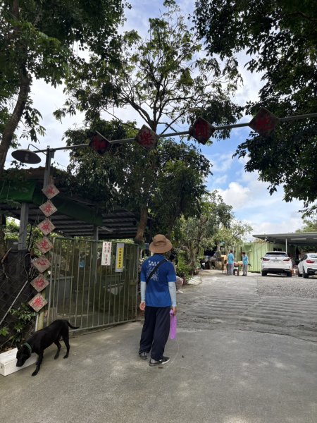 20250907高雄大崗山步道2914740