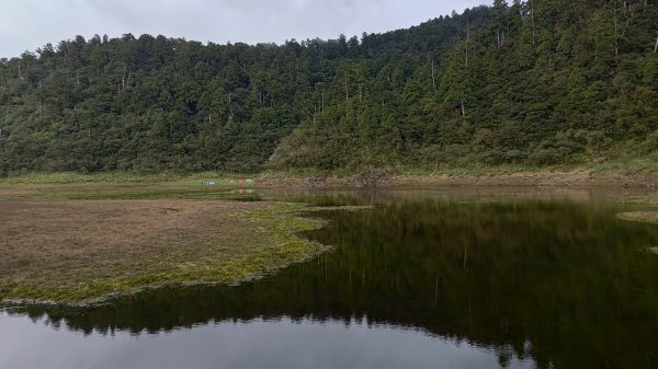 棲松縱走未竟2918346