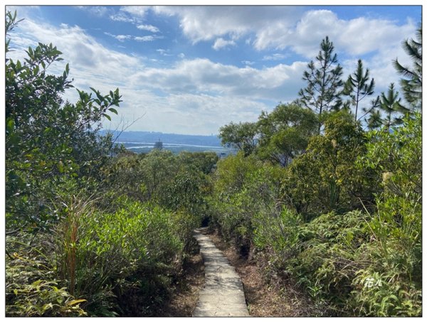 烏尖連峰縱走18基石 ( 唭哩岸山、軍艦岩、丹鳳山 )2981009